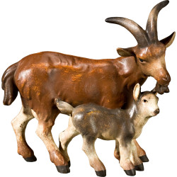Grupo cabras