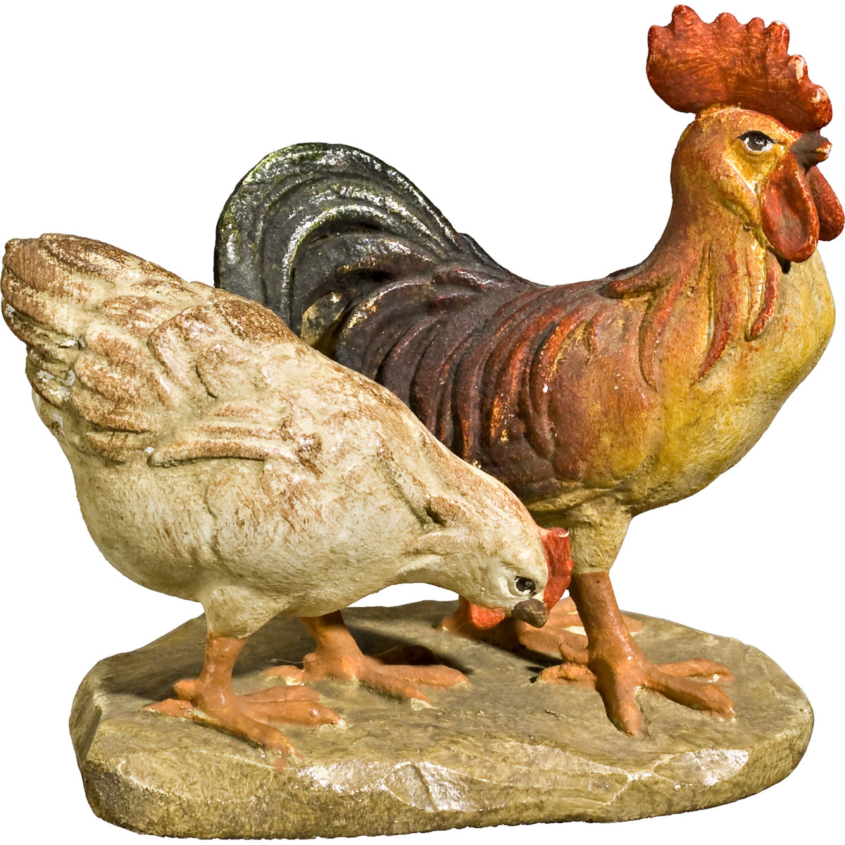 Gruppo galline
