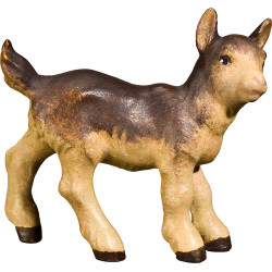 Cabrito