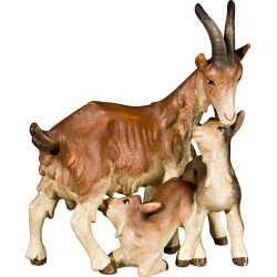 Grupo 3 cabras