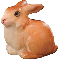 Pequeño Conejo sentado