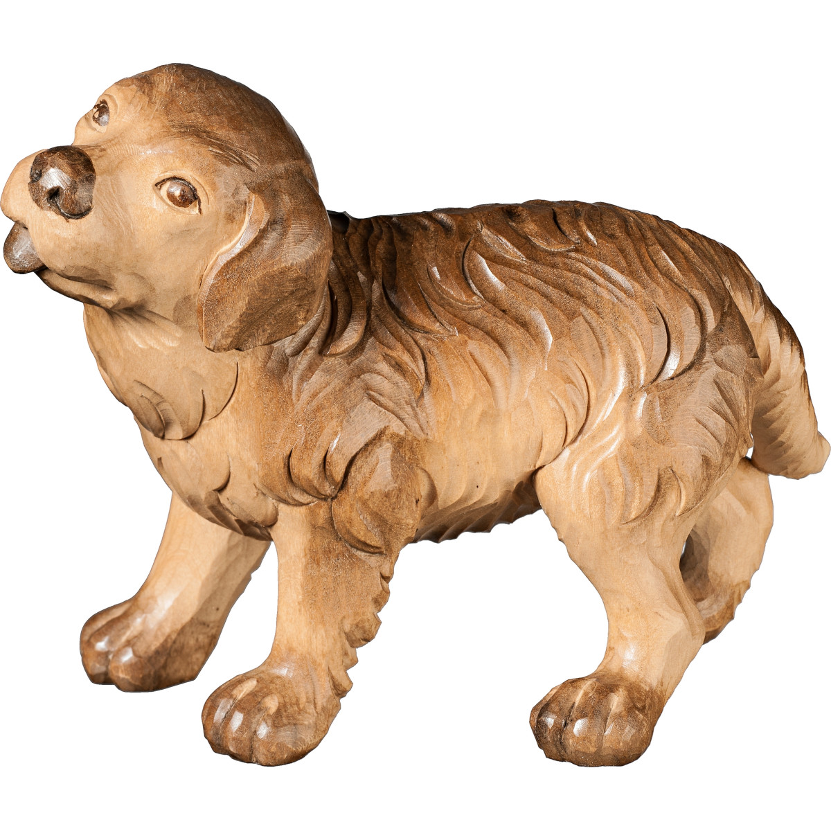 Cachorro San Bernardo