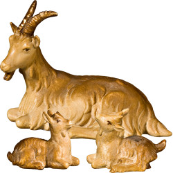 Cabra descansando con dos cabritos | Bergland